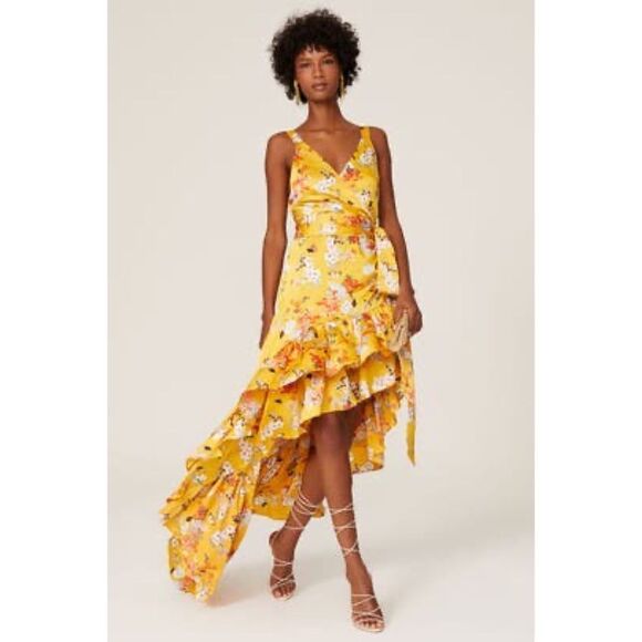 Bronx and Banco Narciss silk blend Dress - Picture 14 of 16